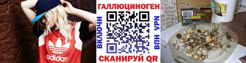 Галлюциногенные грибы GOLDEN TEACHER  Нолинск 